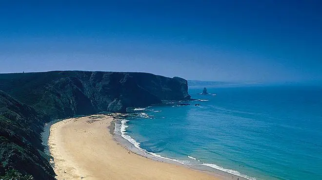 Ocean Surf Houses
